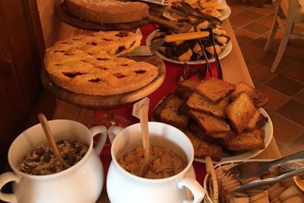 ALBERGO ALPENROSE Ski&Bike Mountain Hotel (Gressoney-Saint-Jean)